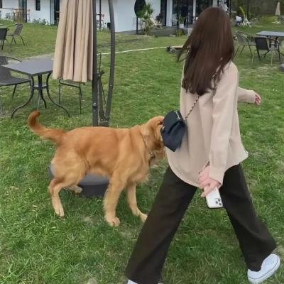总裁的诱惑